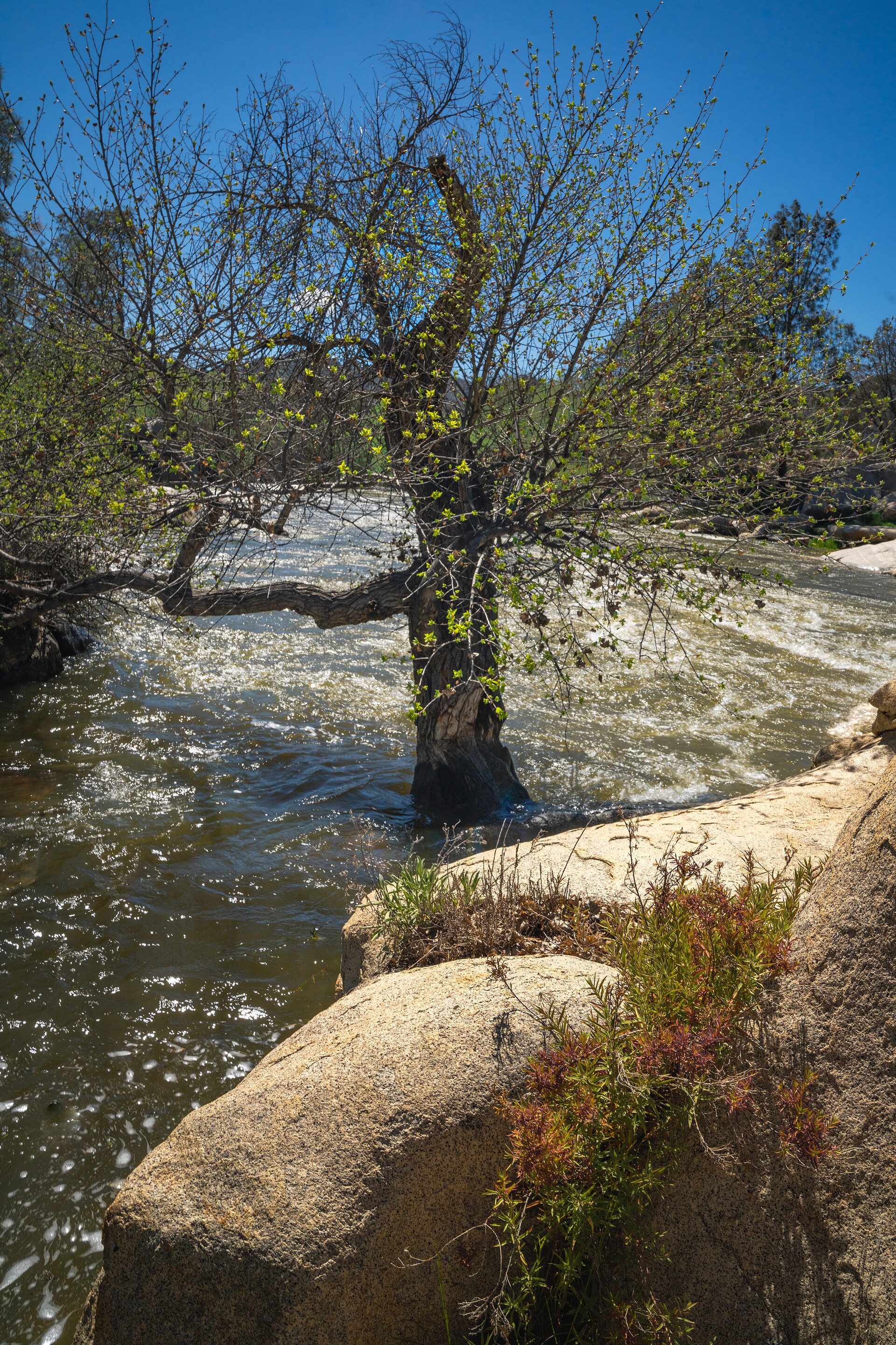 Keysville Recreation Area (52835503224)