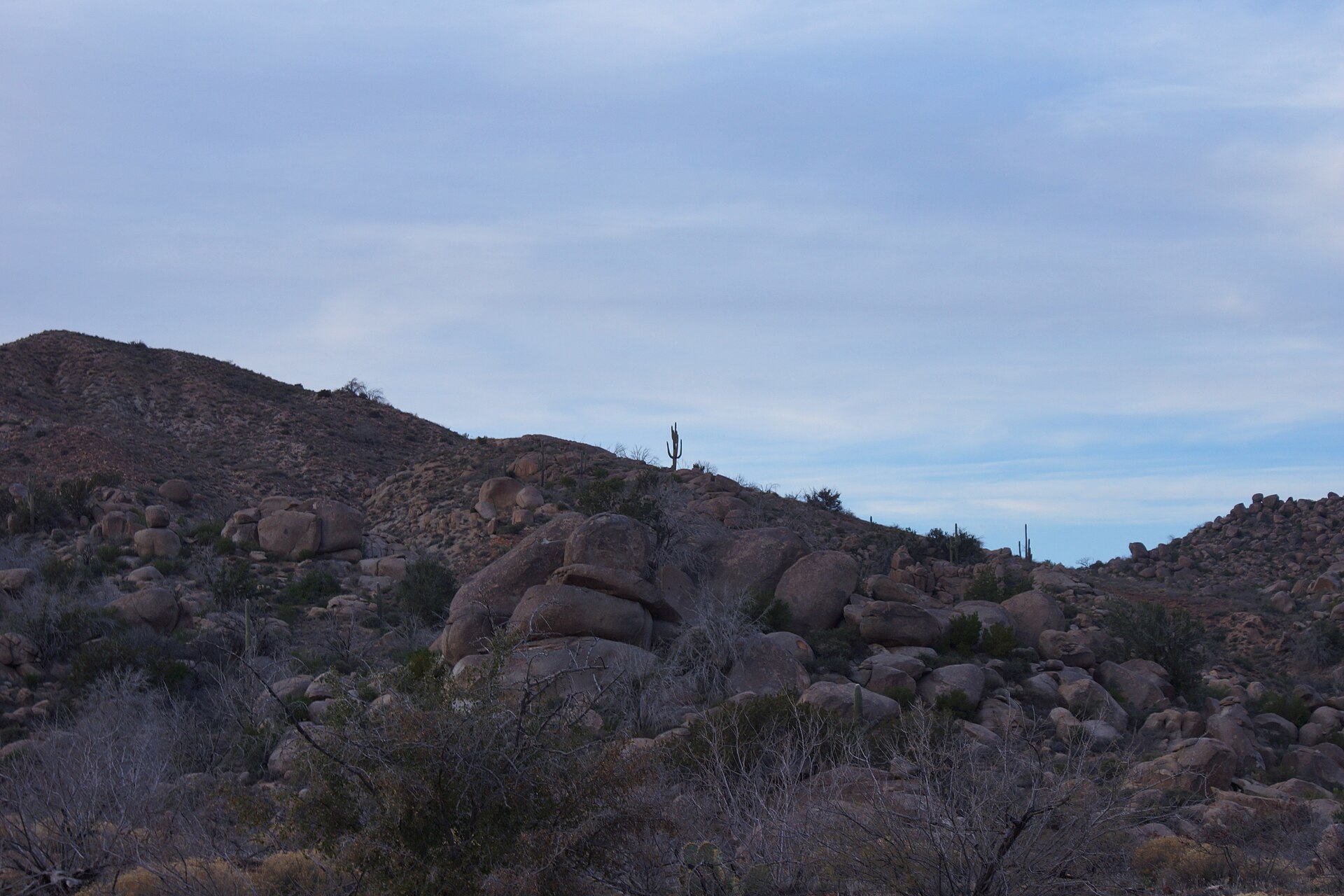 Sycamore Canyon in the New River Mountains, Arizona