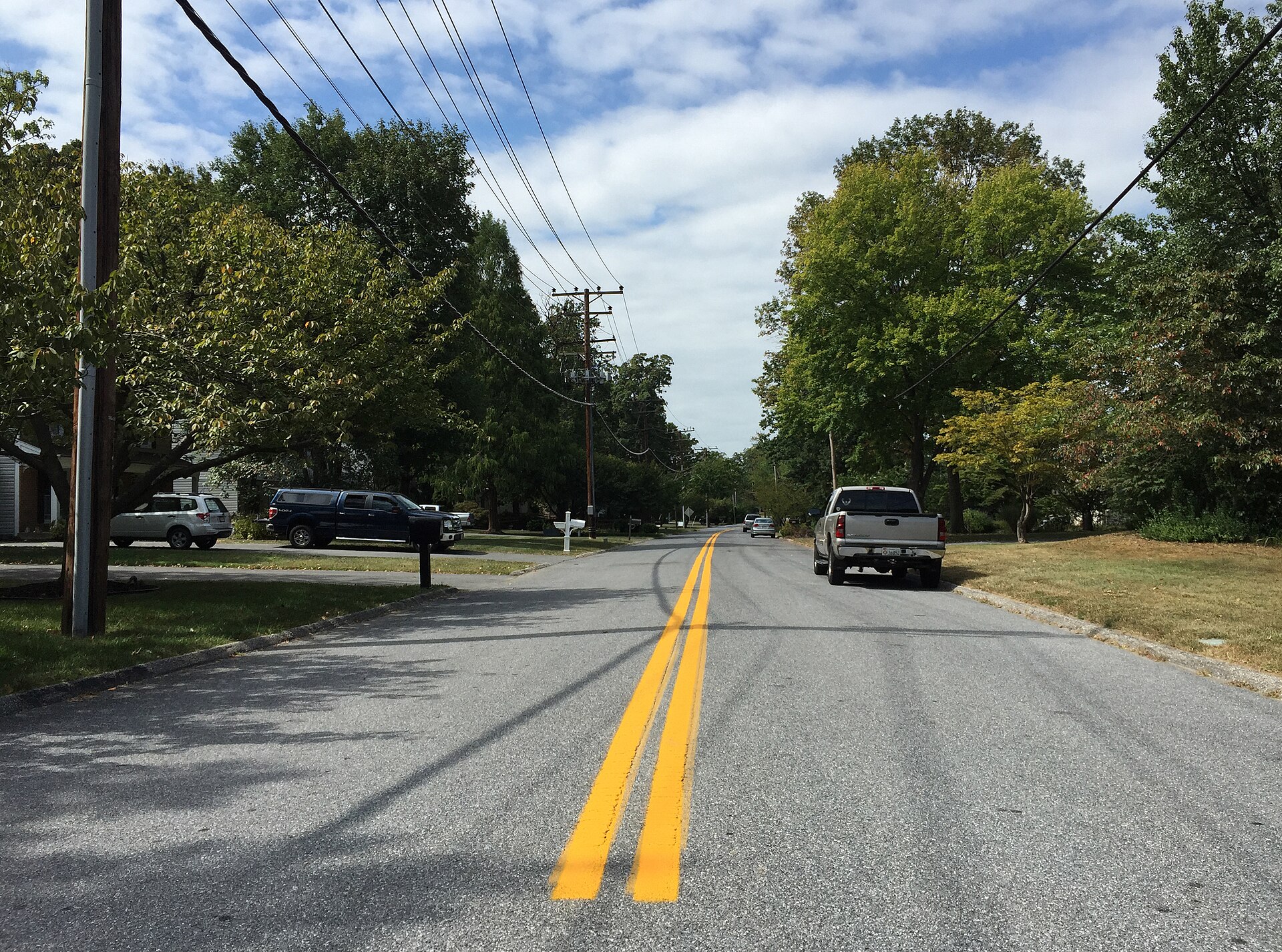 A quiet road through a wooded residential area of Scaggsville, Maryland.