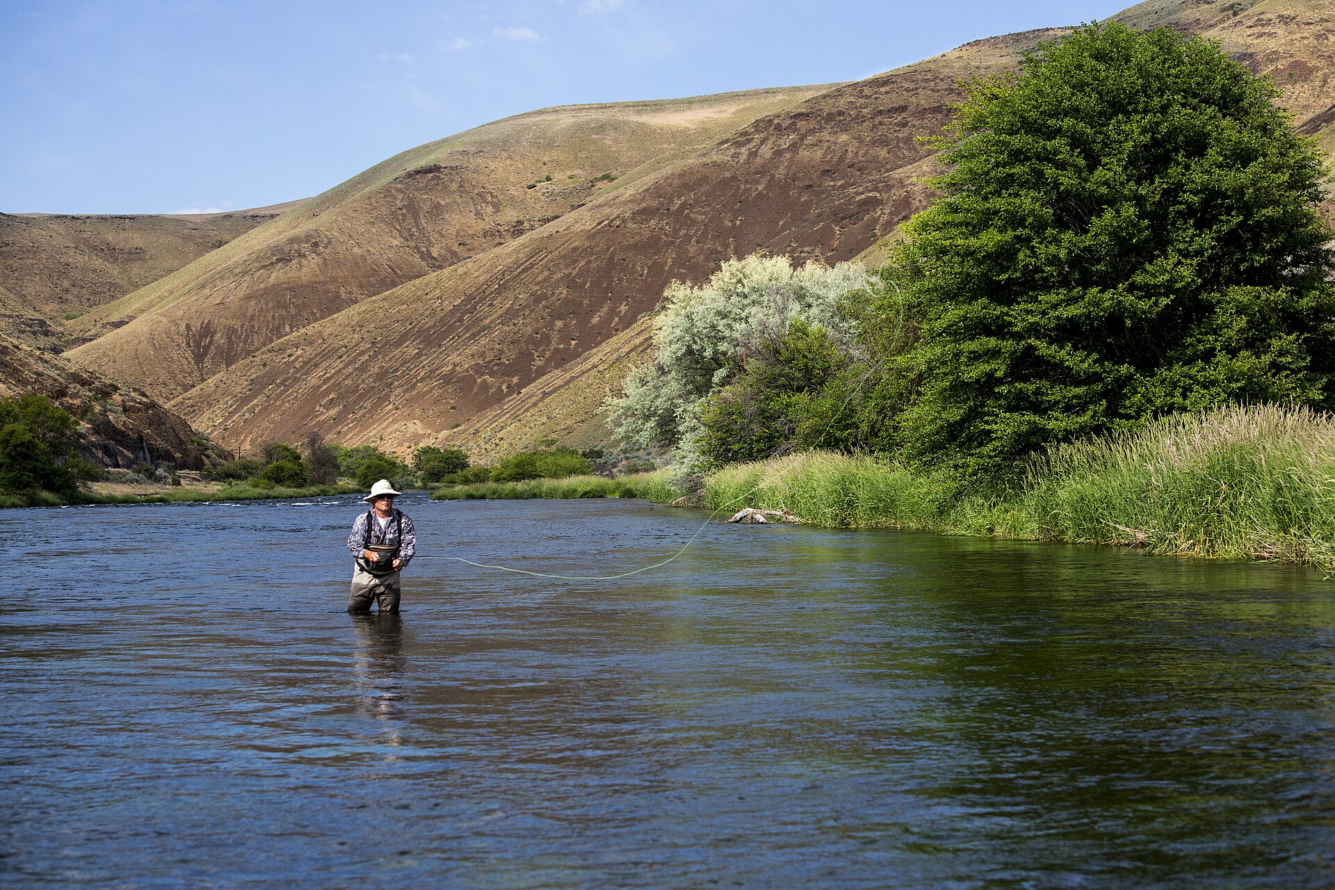 A fly fisherman wading and casting in the Deschutes River near Three Rivers, Oregon