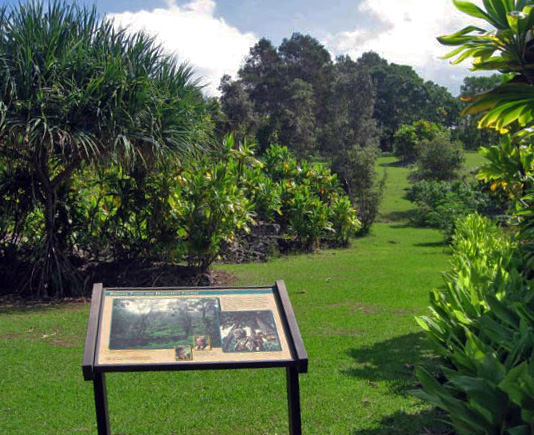Interpretive sign along a grassy path in a lush botanical garden