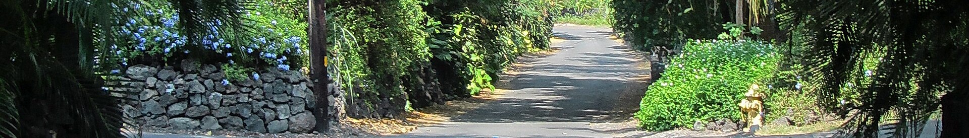 Narrow paved road lined with lava-rock walls and tropical plants