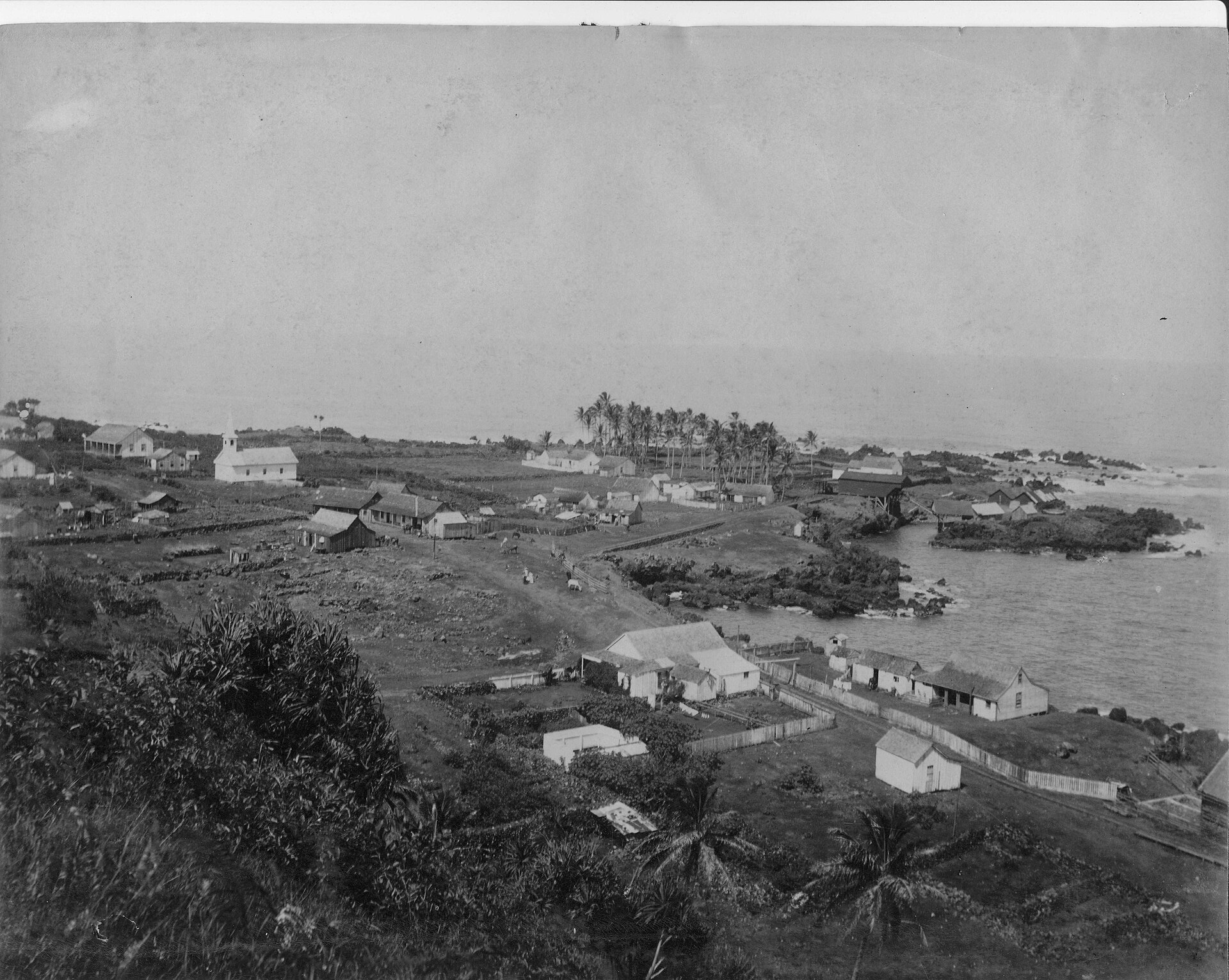 Aerial view of Laupahoehoe village on the Hamakua Coast of the Big Island, Hawaii