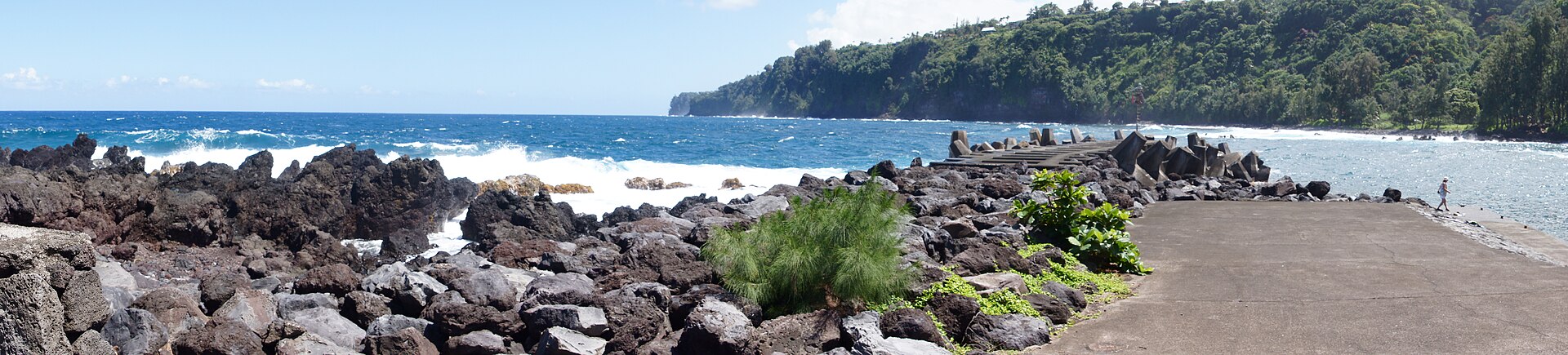 The road from Highway 19 down to Laupahoehoe Point, Hawaii, with ocean views