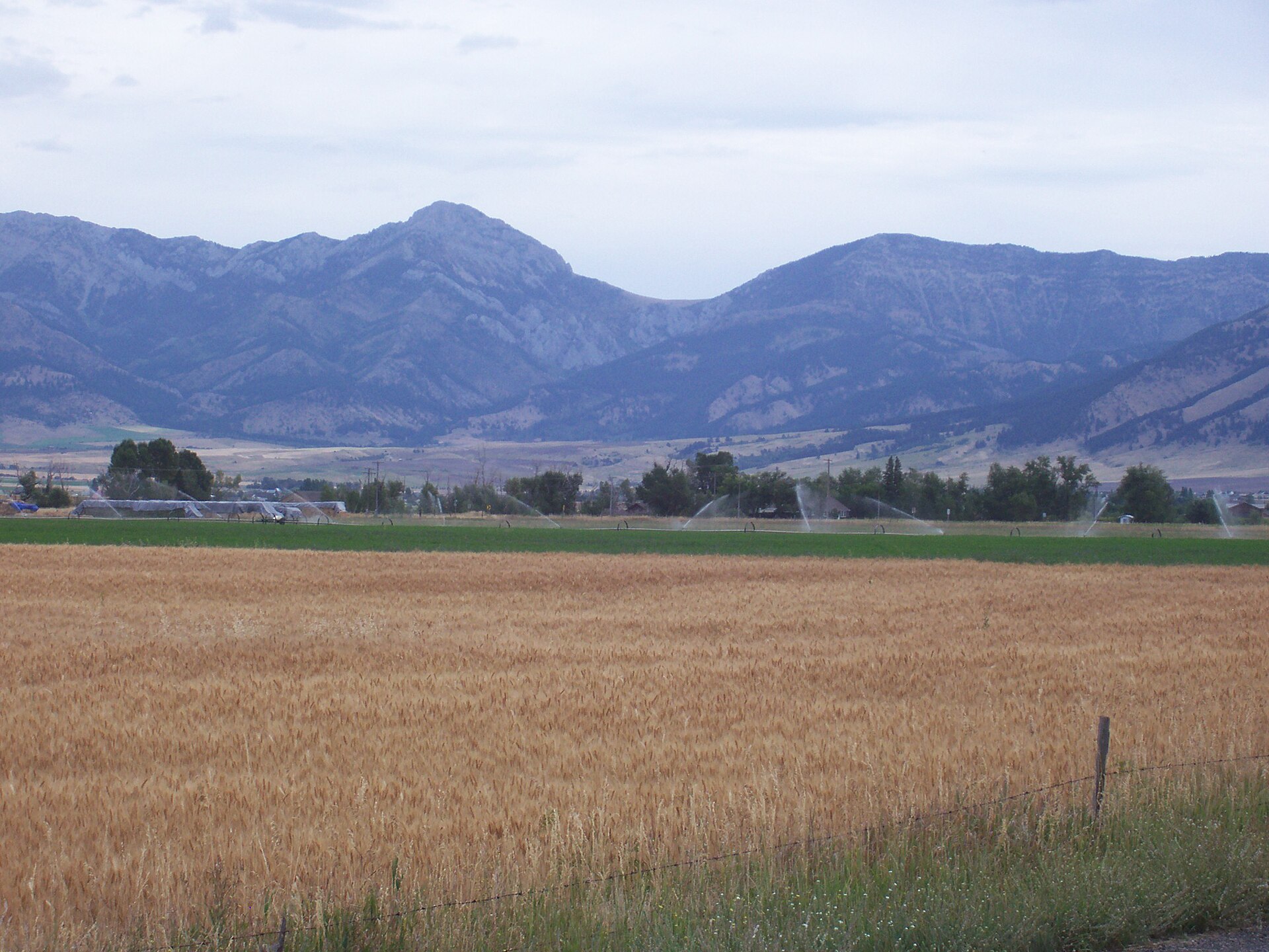 Snow-capped Bridger Mountains above farmland with wheat fields and irrigation sprinklers near Belgrade, Montana