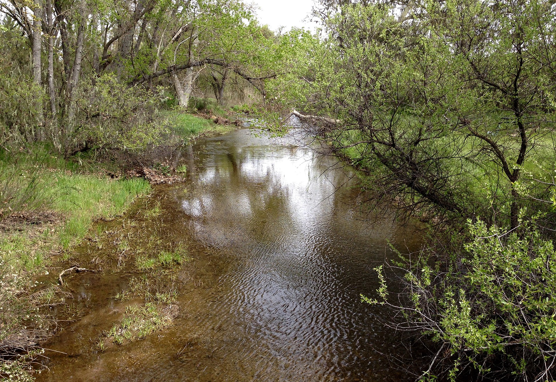 Atascadero Creek flowing through Atascadero, California