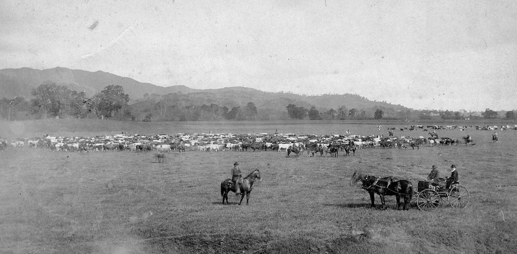 Historic ranch buildings at the P. W. Murphy Ranch in Santa Margarita.