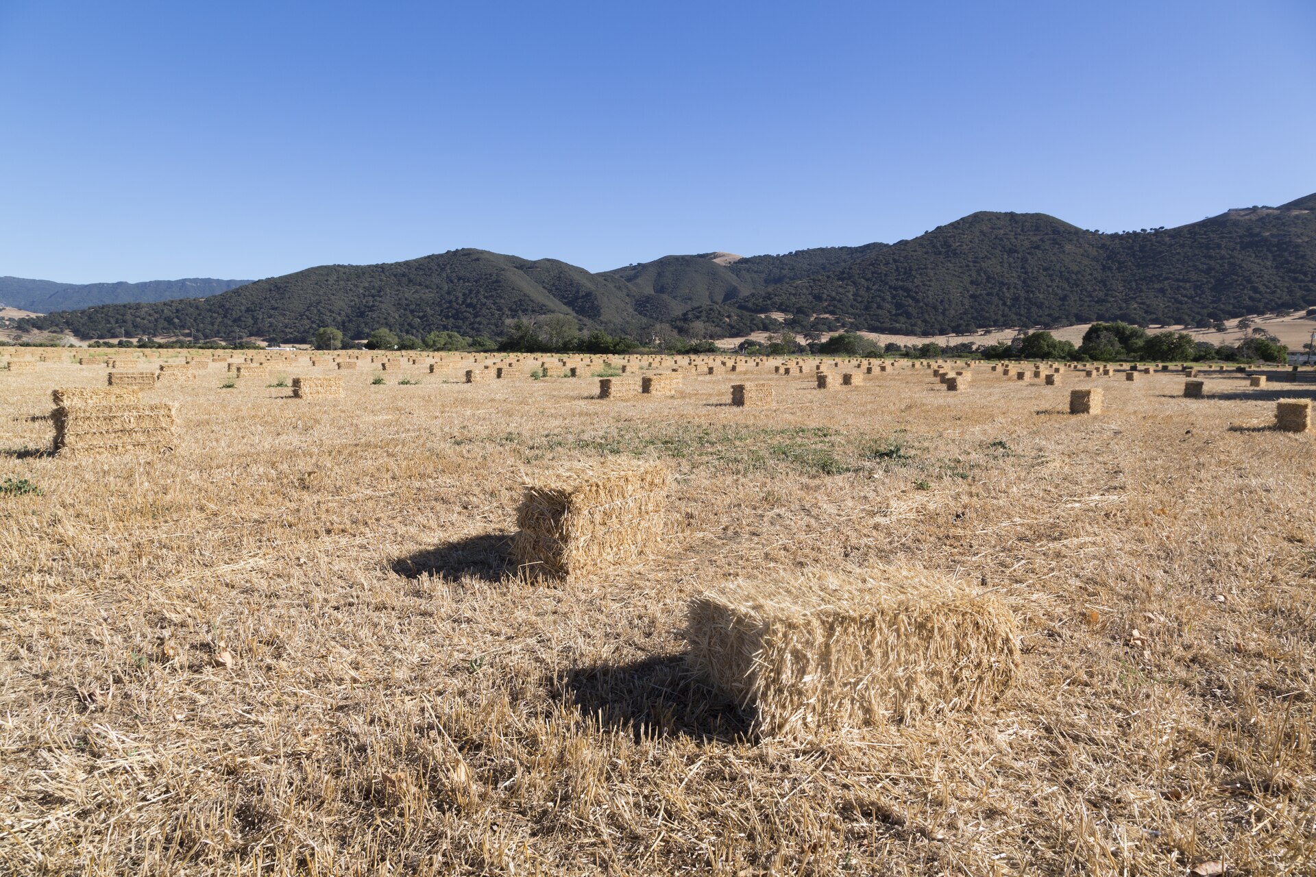 Title: Farmland in Santa Ynez, California Physical description: 1 photograph : digital, tiff file, color. Notes: Title, date, and keywords provided by the photographer.; Credit line: The Jon B....