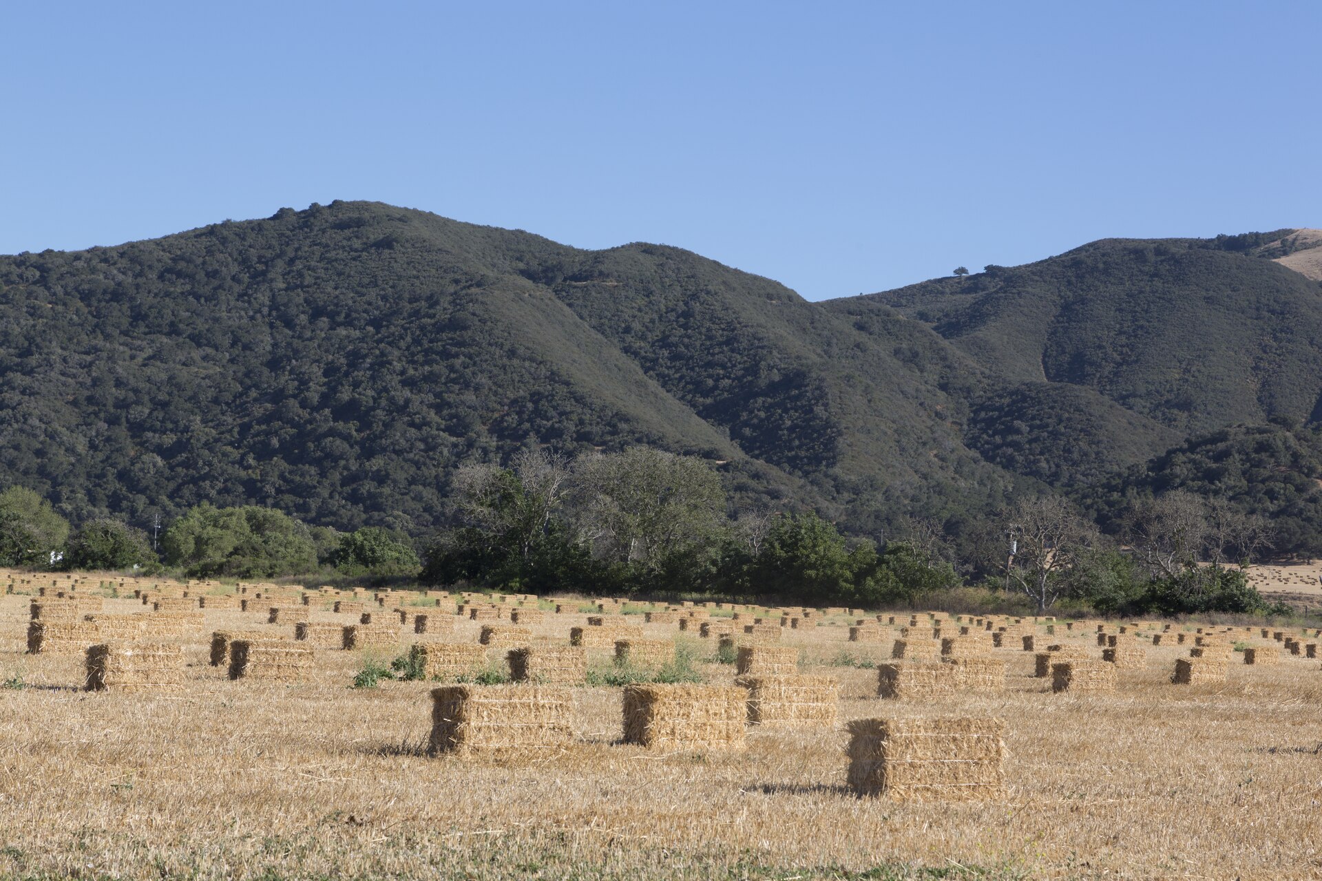 Title: Farmland in Santa Ynez, California Physical description: 1 photograph : digital, tiff file, color. Notes: Title, date, and keywords provided by the photographer.; Credit line: The Jon B....