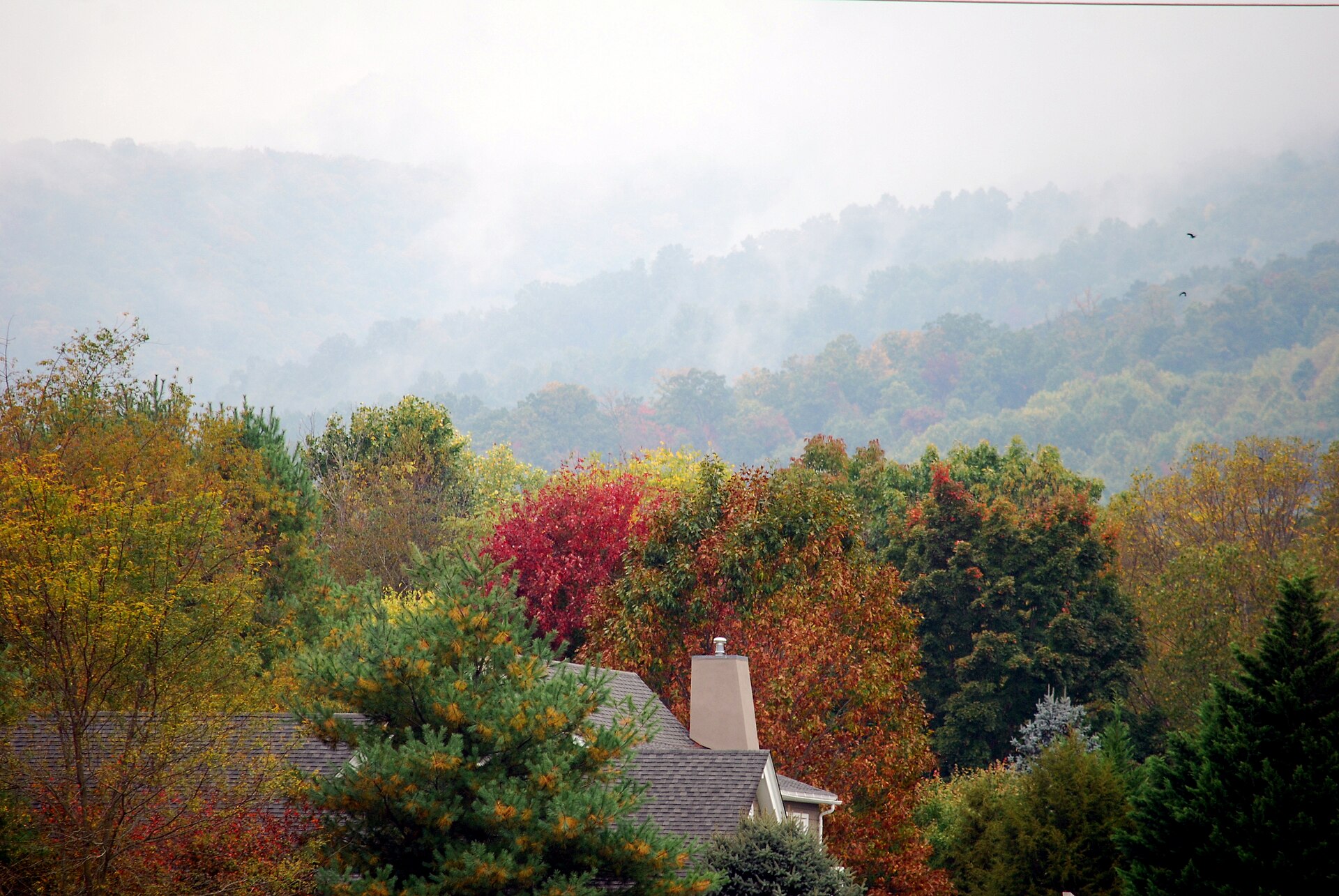 A wide panorama of forested mountains in autumn colors near Nellysford, Virginia.