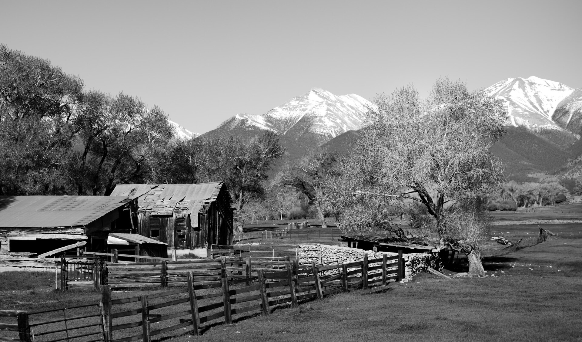 Old wooden ranch barns and fences in Buena Vista, Colorado, beneath snow-capped peaks