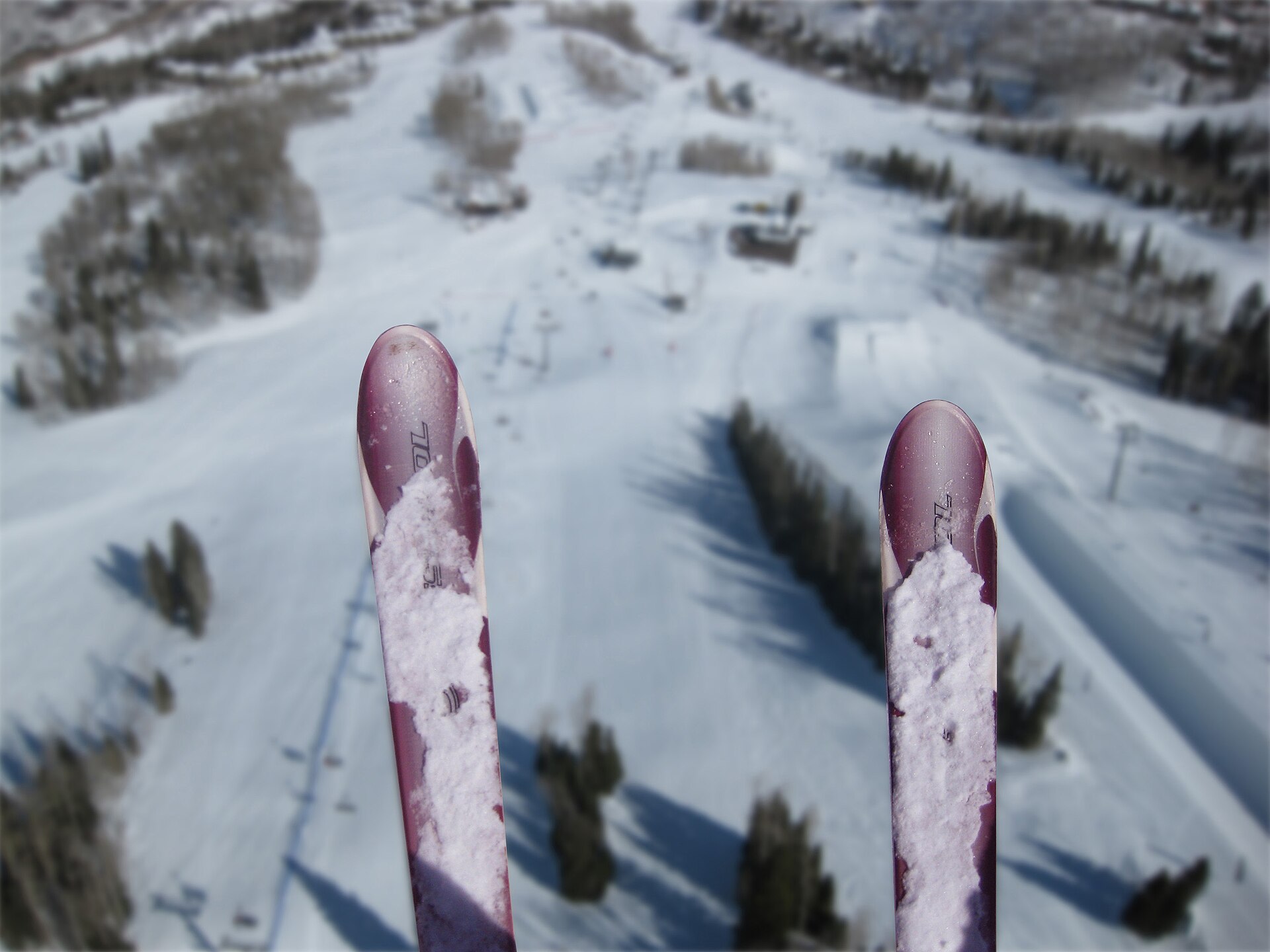 As a bird, flying over Snowmass - CO