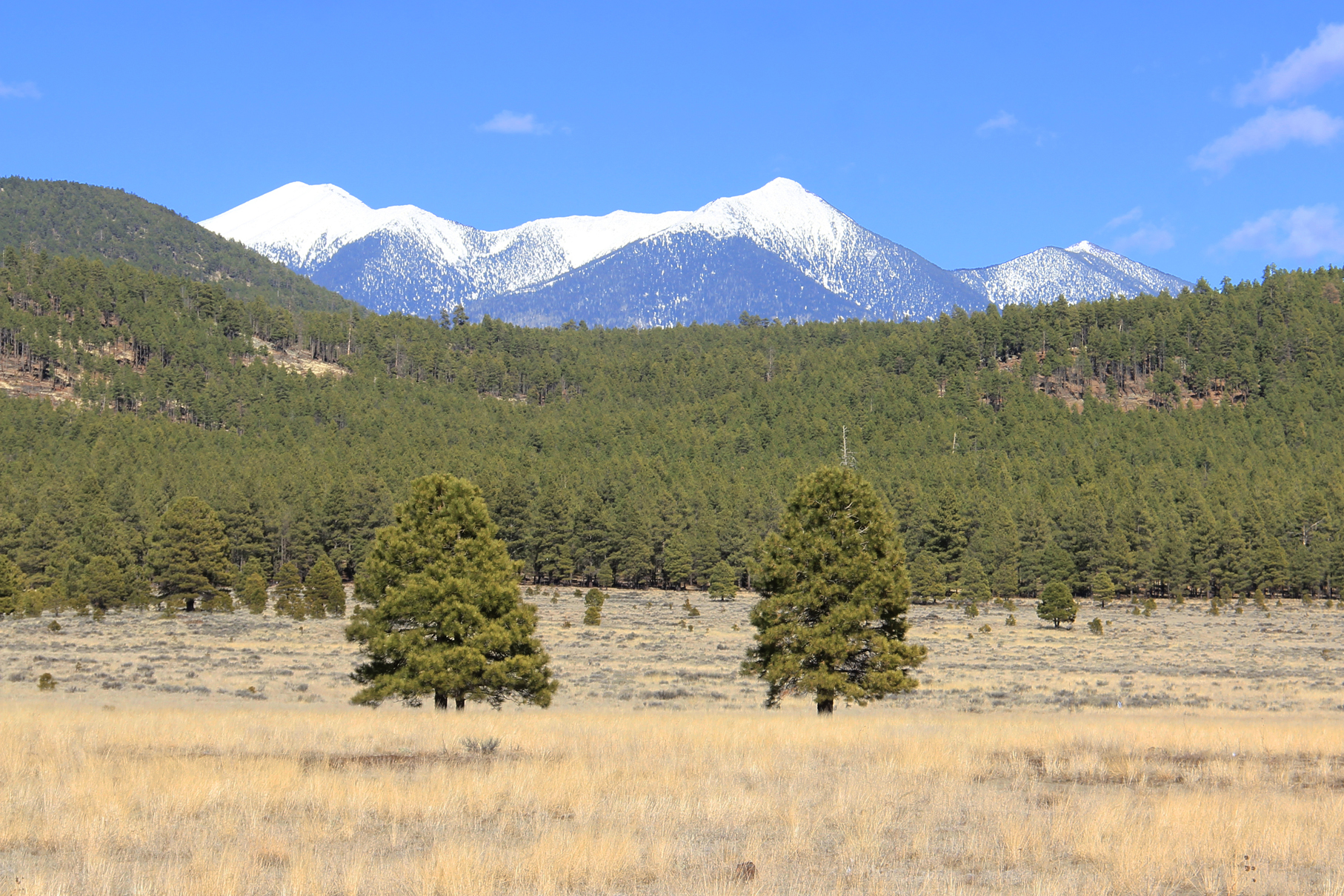Snow-capped Humphreys Peak seen from Bellemont Arizona.