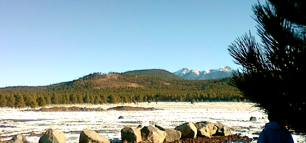 A snow-covered field in Bellemont Flat Arizona.