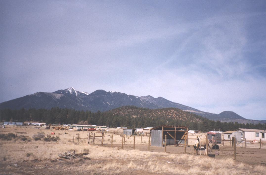 The San Francisco Peaks rising over Doney Park, Arizona