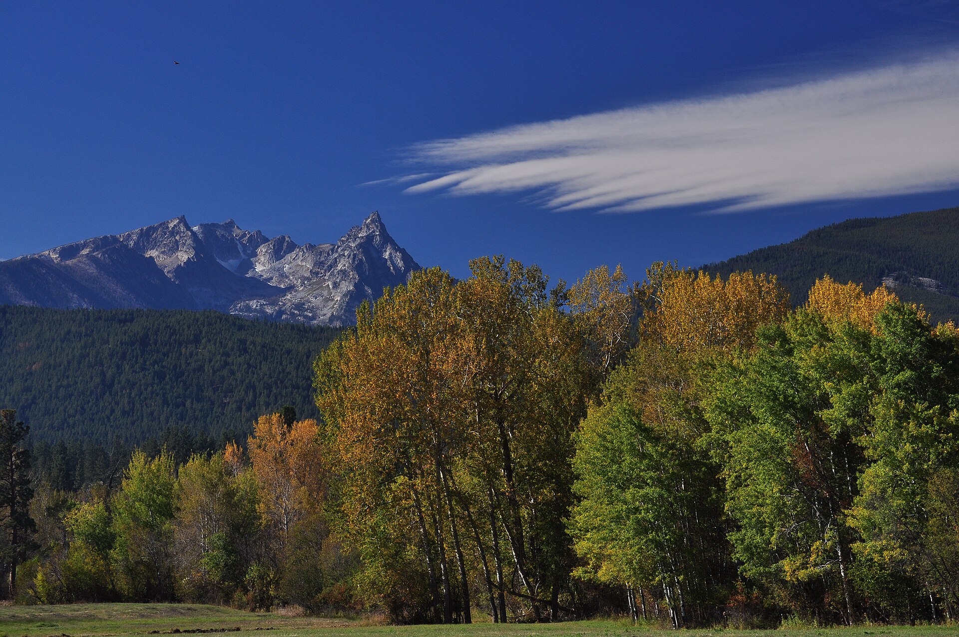 A jagged rocky mountain peak rising above autumn-gold aspen and evergreen trees under a deep blue sky.