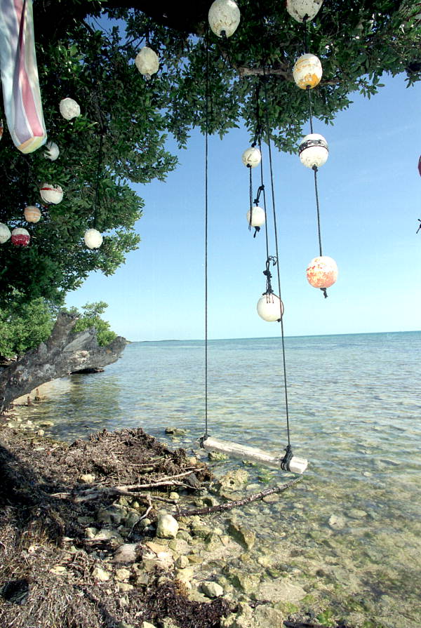 A swing hanging over the water at Boca Chica Beach on Big Coppitt Key, Florida
