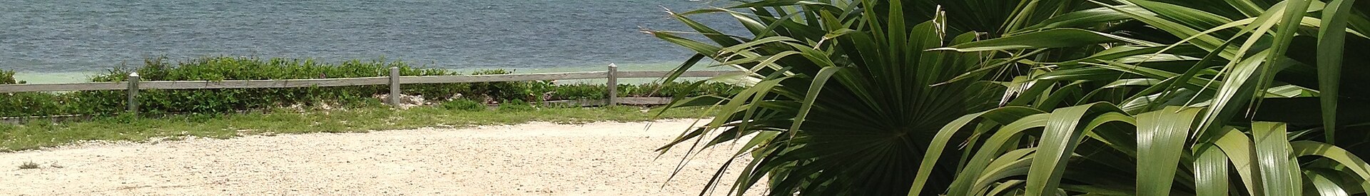 A panoramic ocean view of Big Pine Key in the Florida Keys.