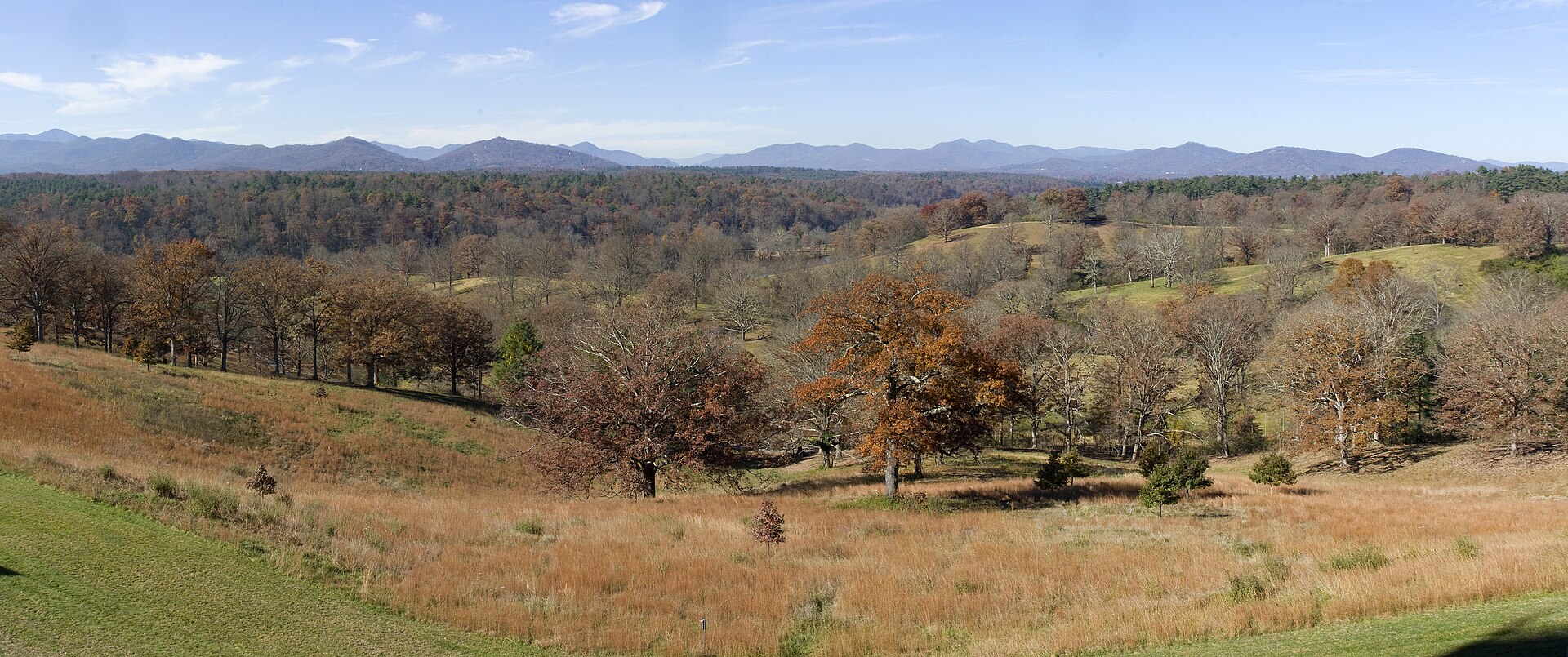Golden autumn fields and mixed forest with the Blue Ridge Mountains on the horizon.