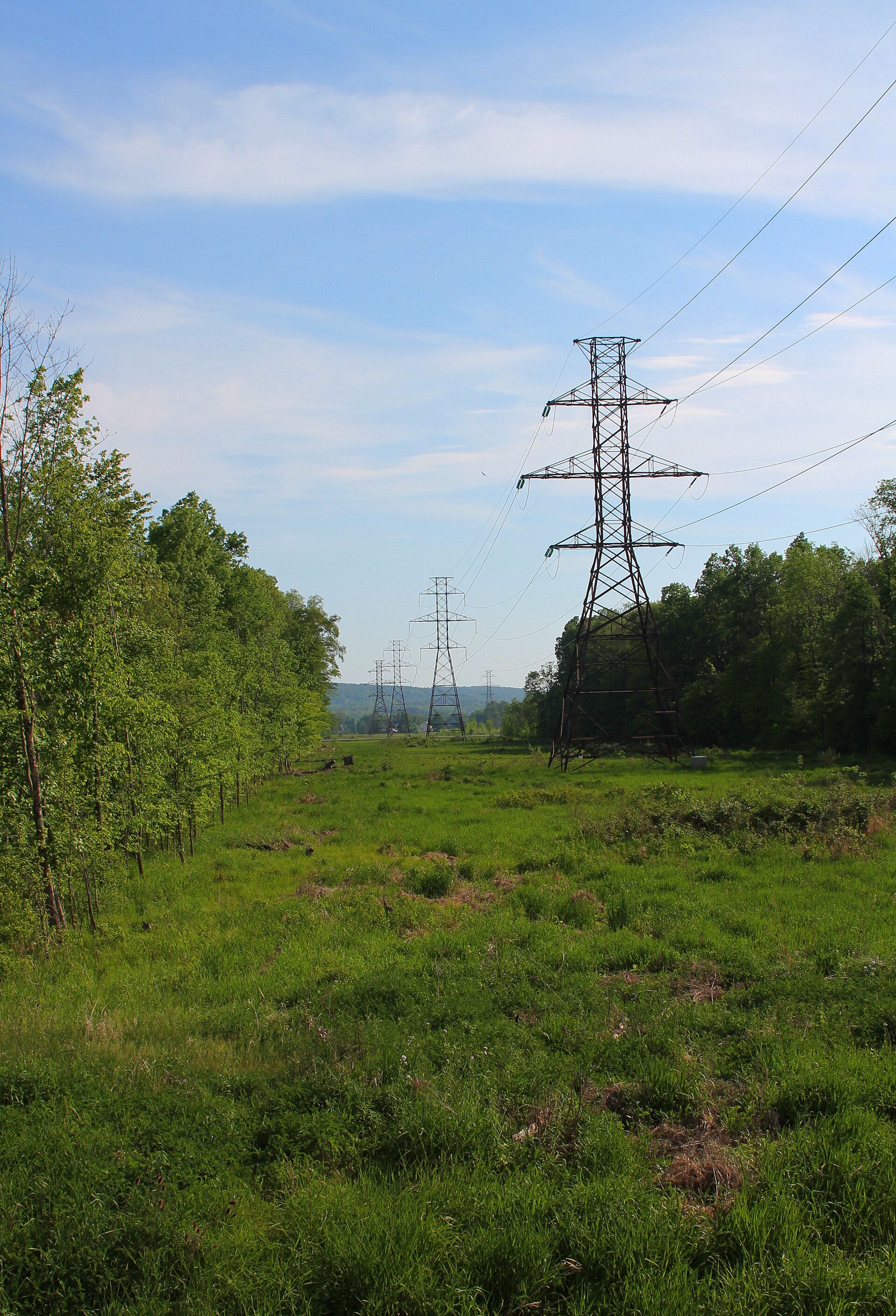 Power lines in Derry Township, Montour County, Pennsylvania