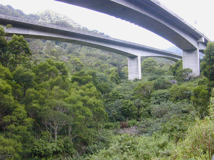 Twin concrete freeway viaducts soaring above a lush green valley.