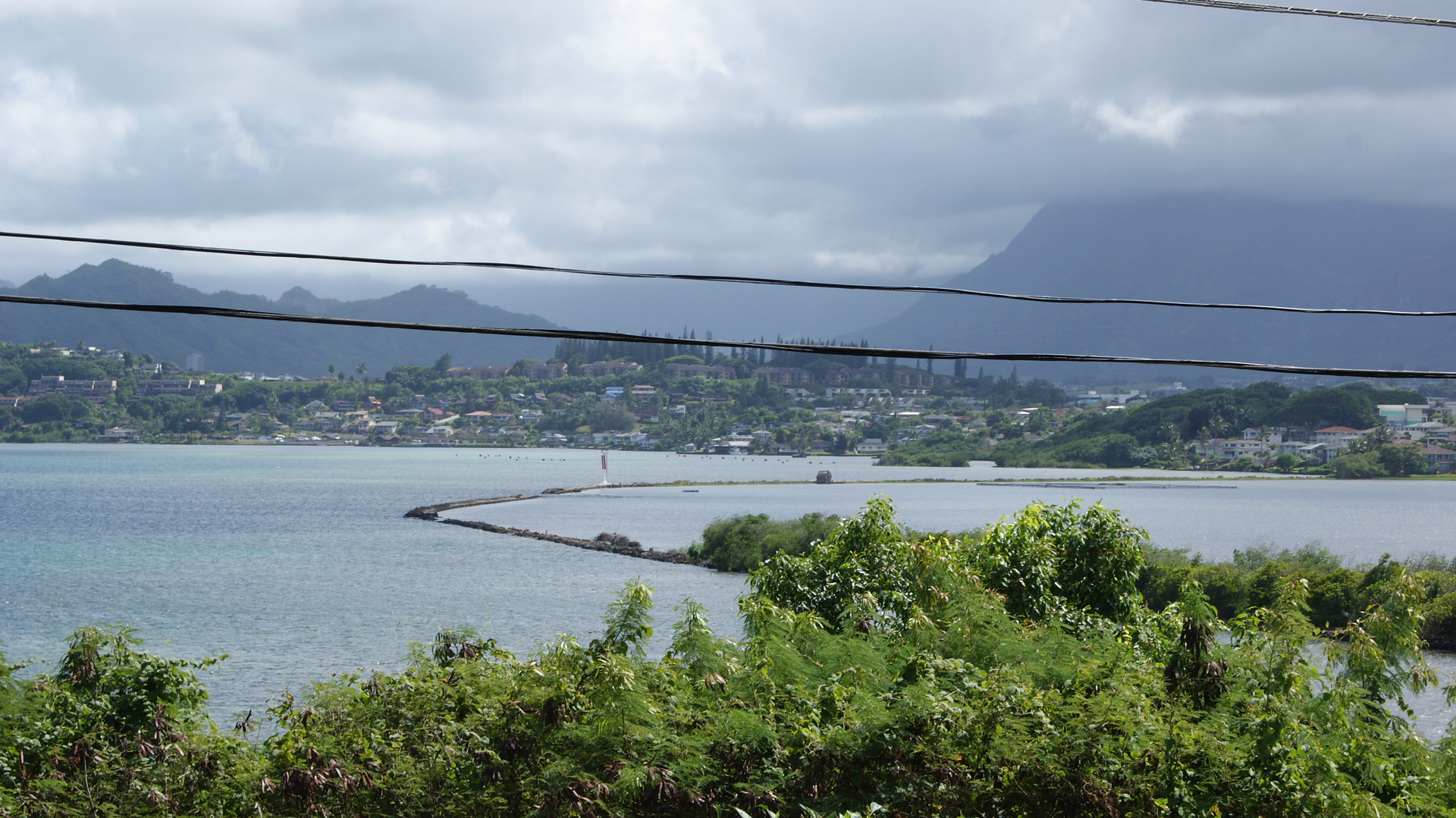 A fishpond and bay with a stone wall, viewed past trees with power lines crossing overhead.