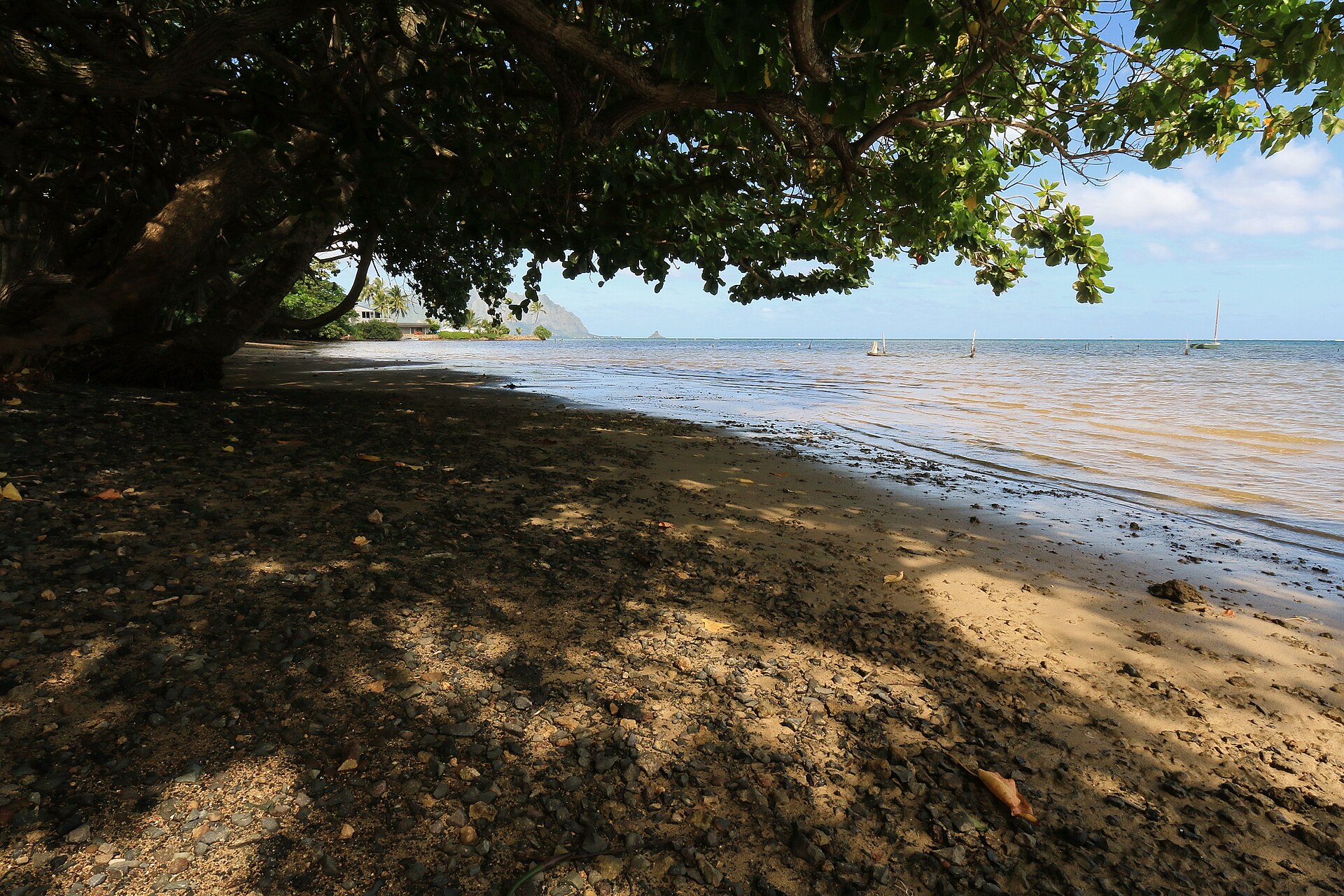A sandy beach curving under overhanging trees with calm bay water and sailboats beyond.
