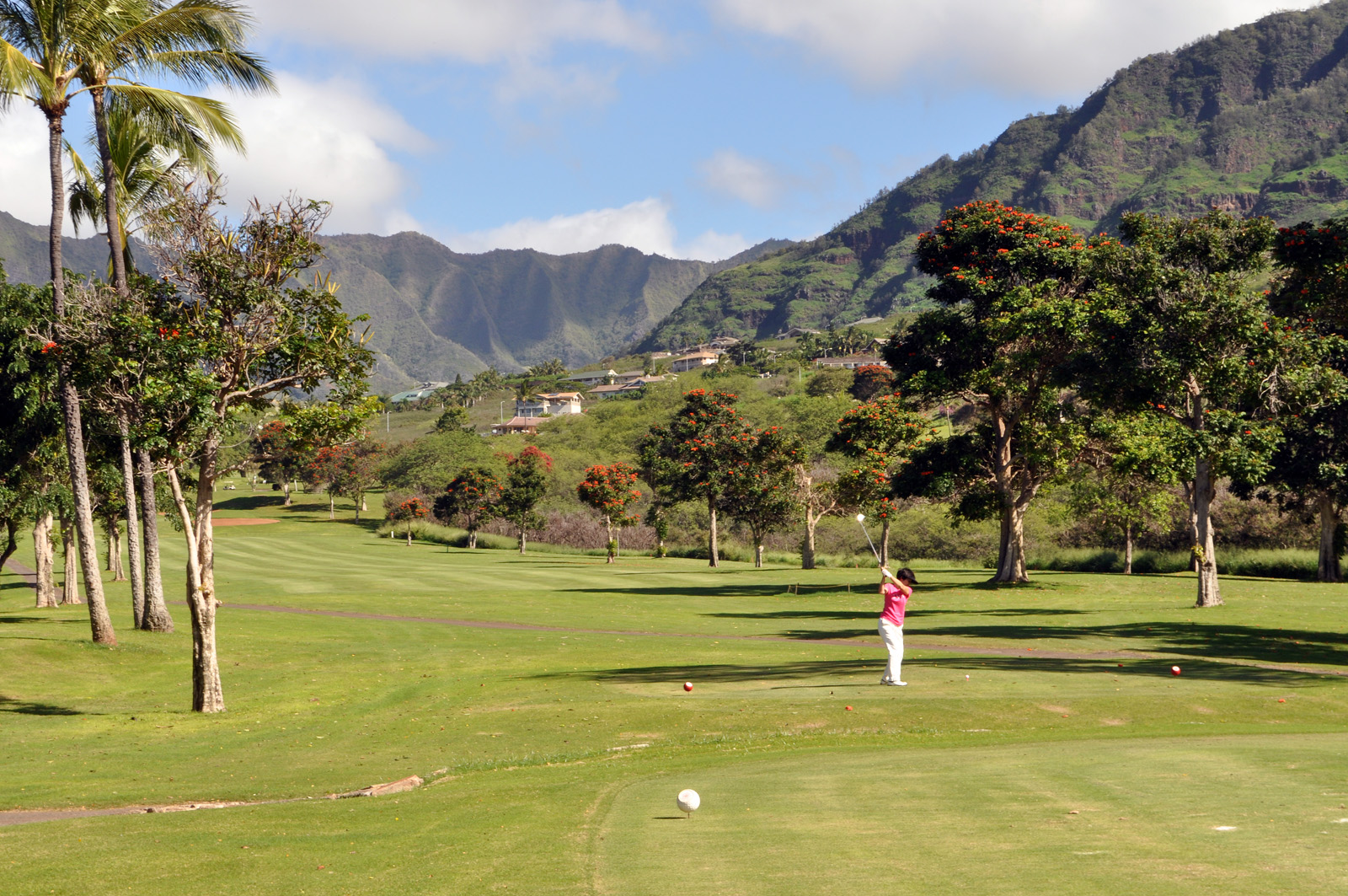 A golfer on a lush green fairway lined with palm and ironwood trees, with steep green mountains behind.
