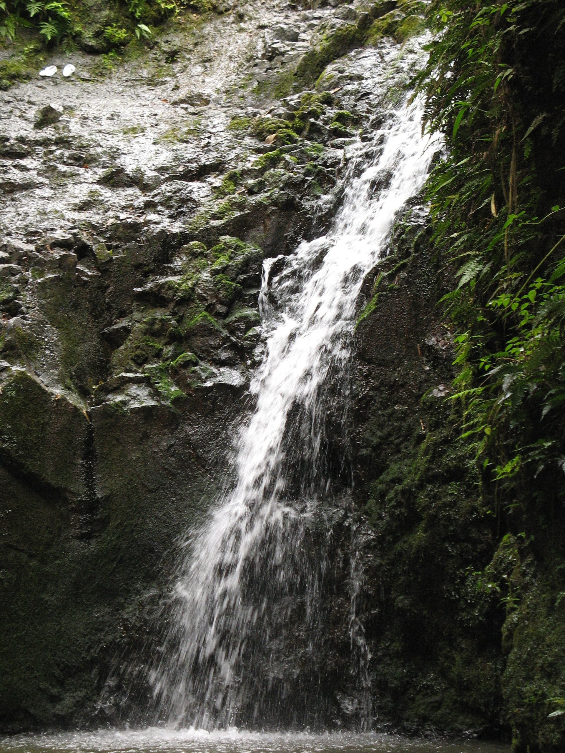 A waterfall cascading down a mossy rock face into a pool, framed by lush green vegetation.