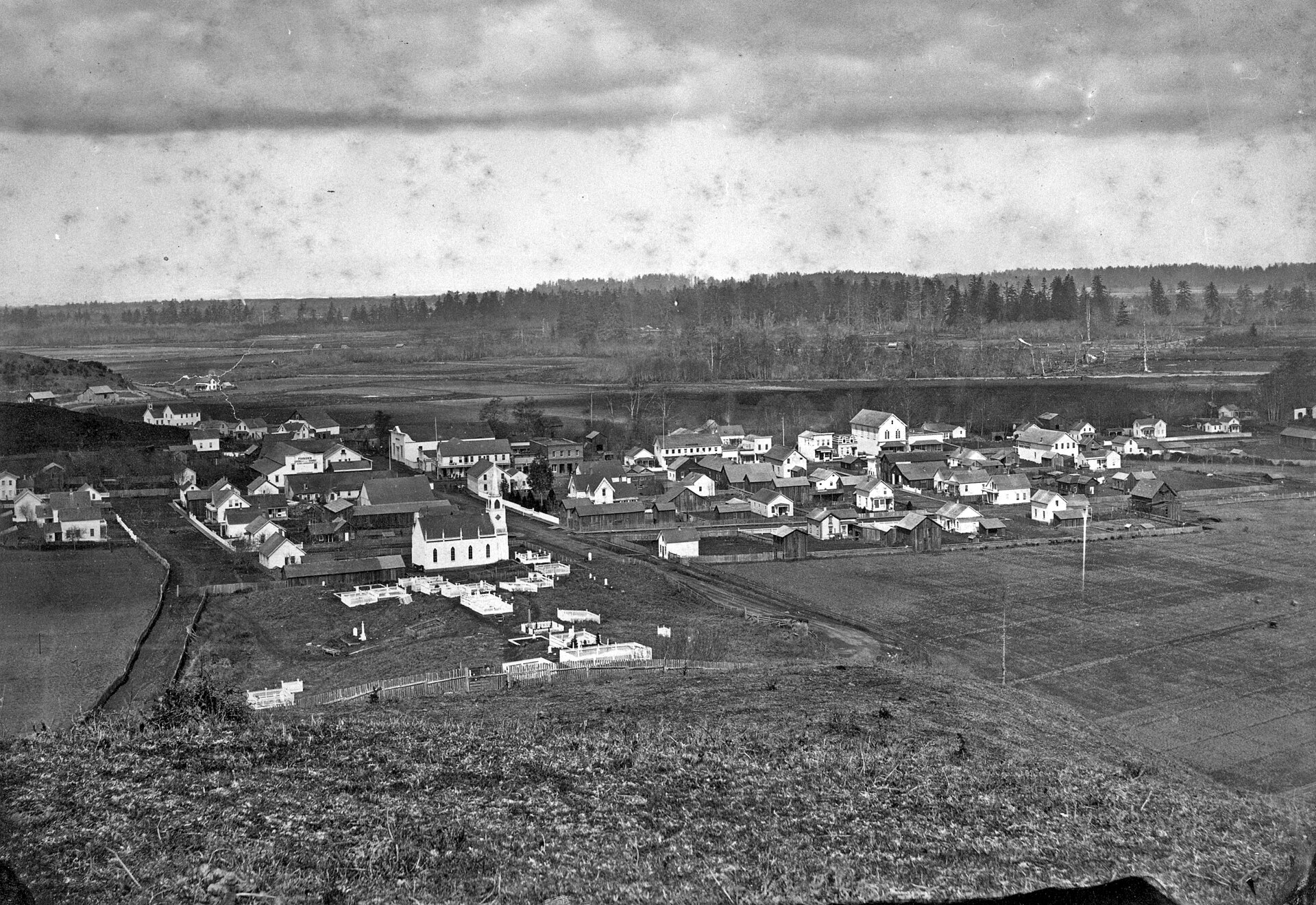 An 1883 panoramic view of Ferndale, California from the cemetery hill.