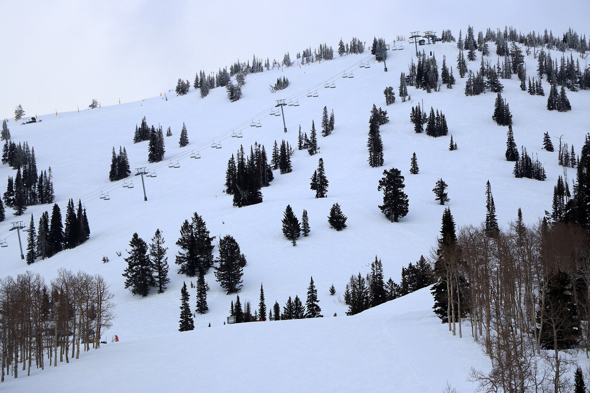 A snow-covered ski slope with chairlifts and scattered evergreens under an overcast sky.
