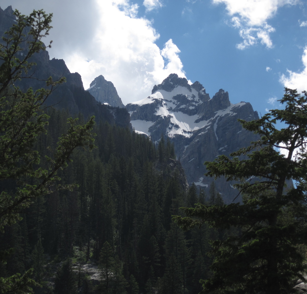 Jagged snow-streaked peaks rising above dense evergreen forest under a bright sky.
