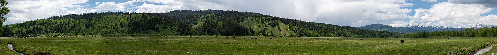 A wide panoramic view of green ranch valley with a winding creek, forested hills, and distant peaks.