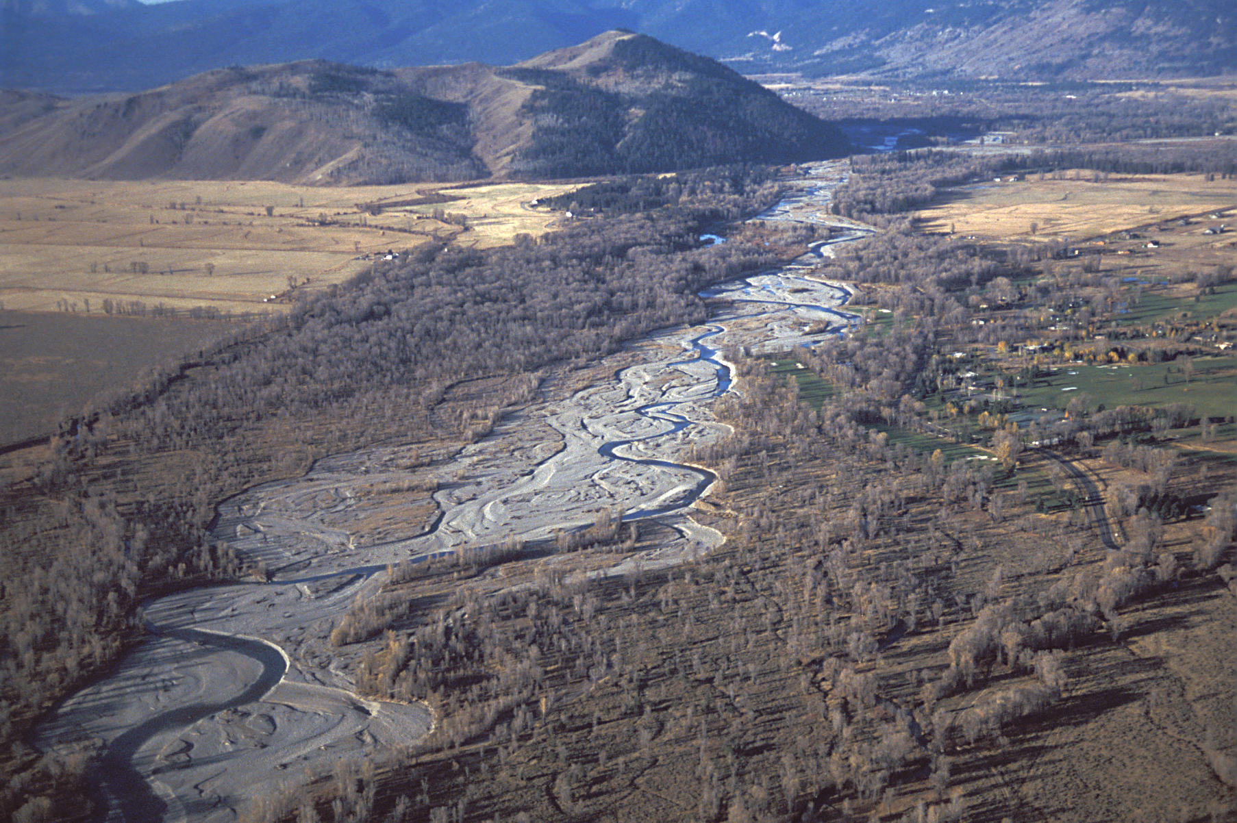 An aerial view of a braided river winding through cottonwood flats beneath forested foothills.