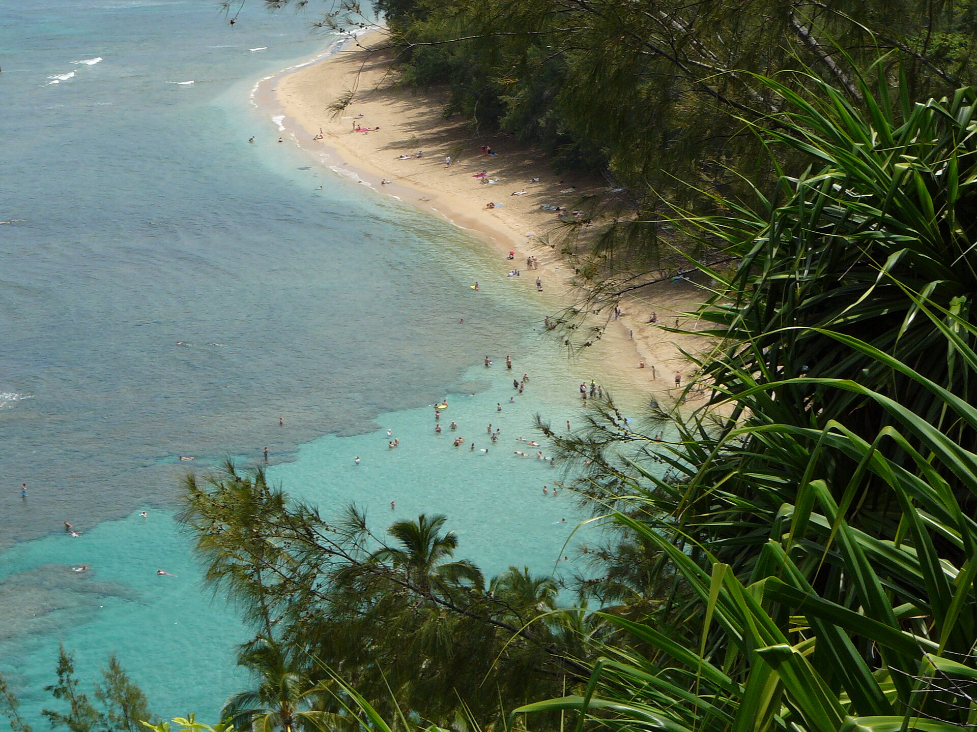 A curved sandy beach with swimmers in turquoise water, viewed from a lush green hillside trail.