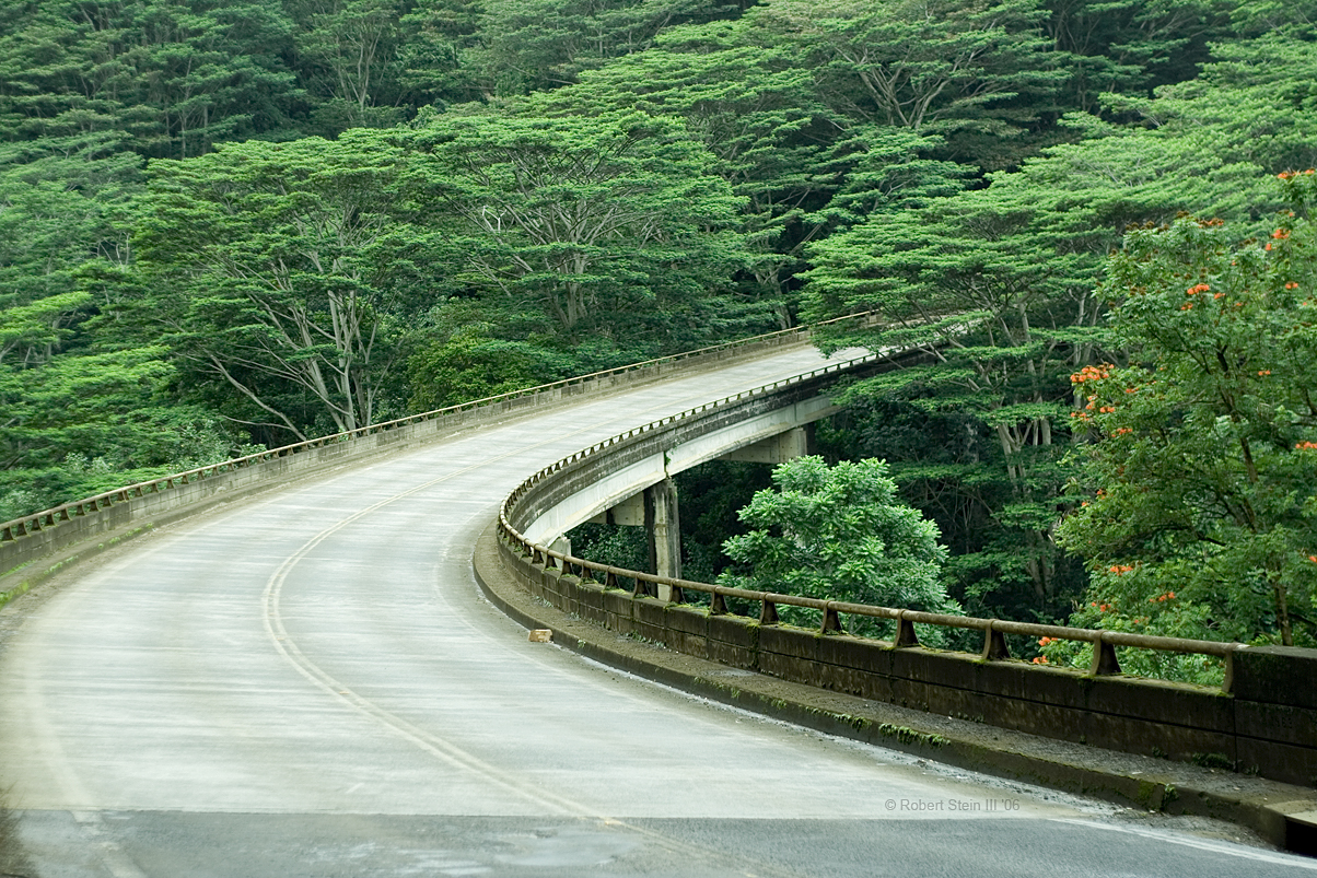 A curving concrete bridge sweeping through dense green forest.