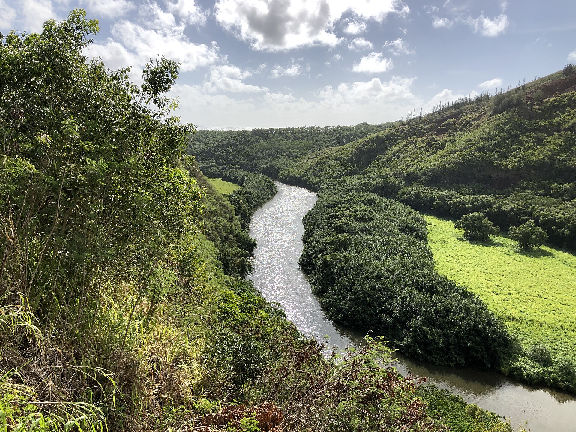 Aerial view of the lush Wailua River valley with the river winding toward the ocean, Kauai, Hawaii