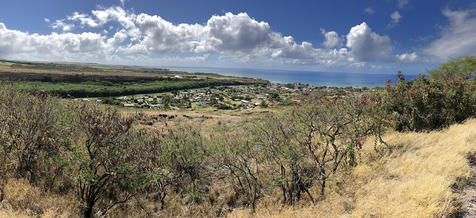 Panoramic view of the Waimea River valley from Waimea Canyon Drive on Kauai, Hawaii