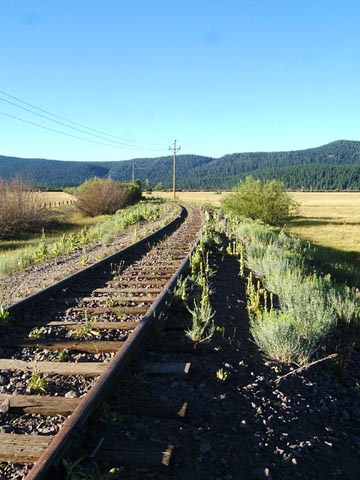 The Almanor Railroad between Chester and Lake Almanor, California