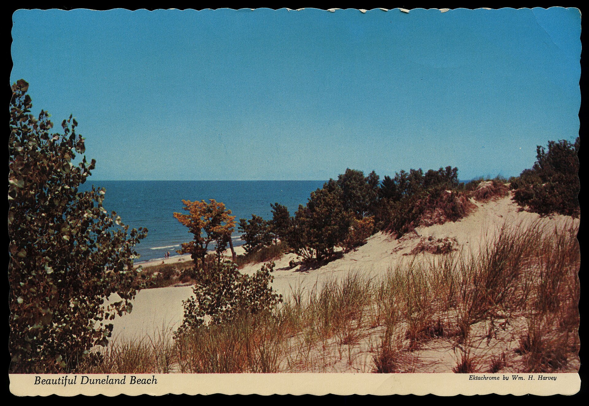 Vintage postcard view of the dunes and shoreline at Duneland Beach, Indiana