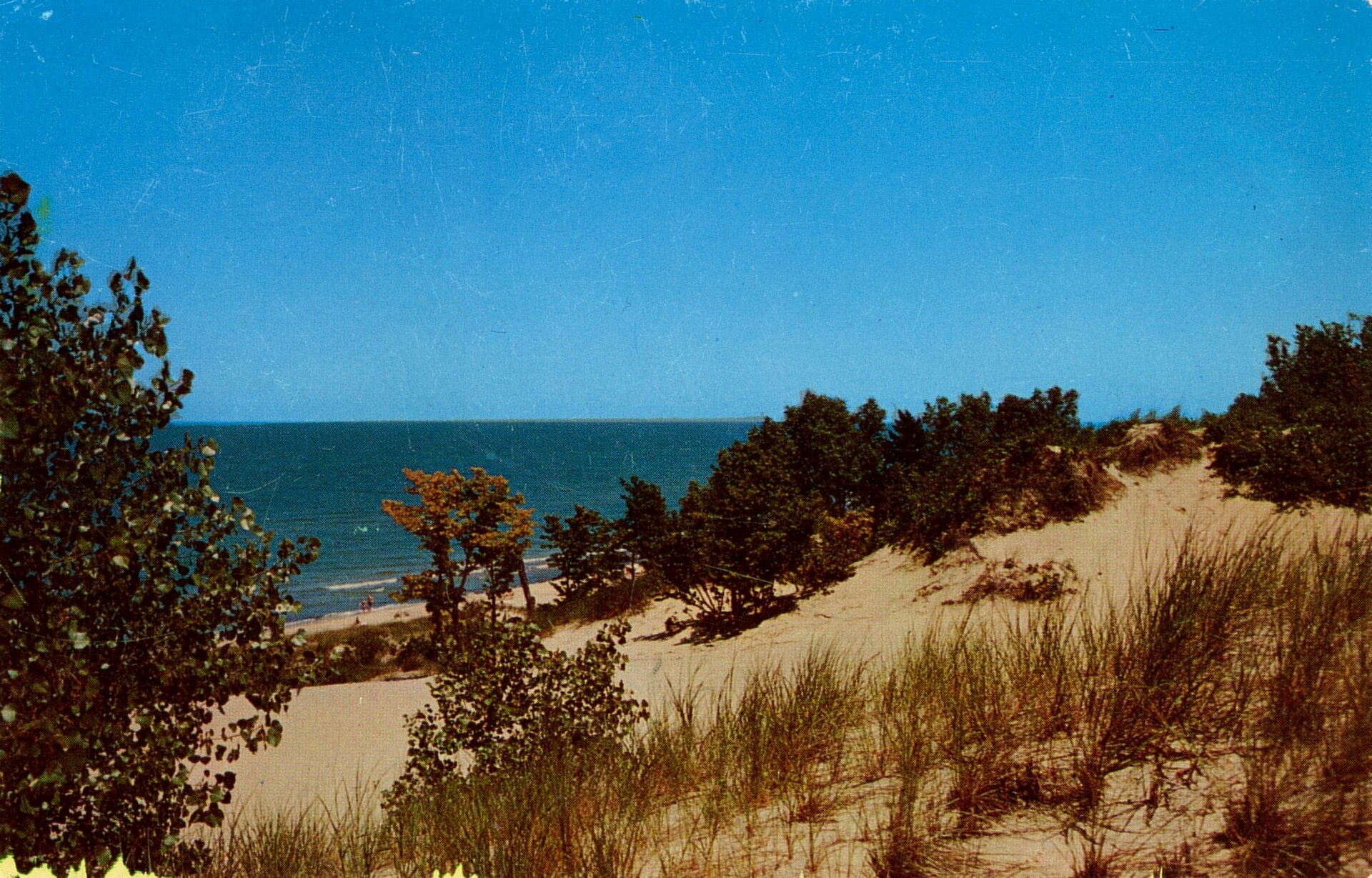 Dune grasses above the Lake Michigan shoreline at Duneland Beach, Indiana