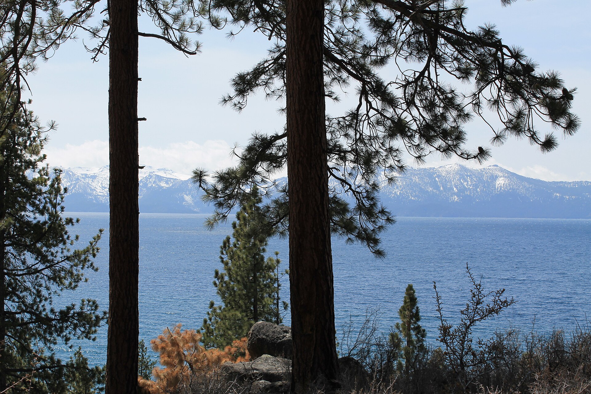 Blue lake water and distant snowy peaks framed by pine trunks and branches.