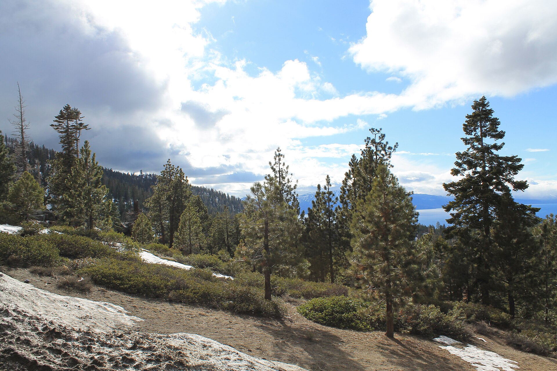 Tall pines and patches of snow on a hillside trail with blue lake water visible through the trees.