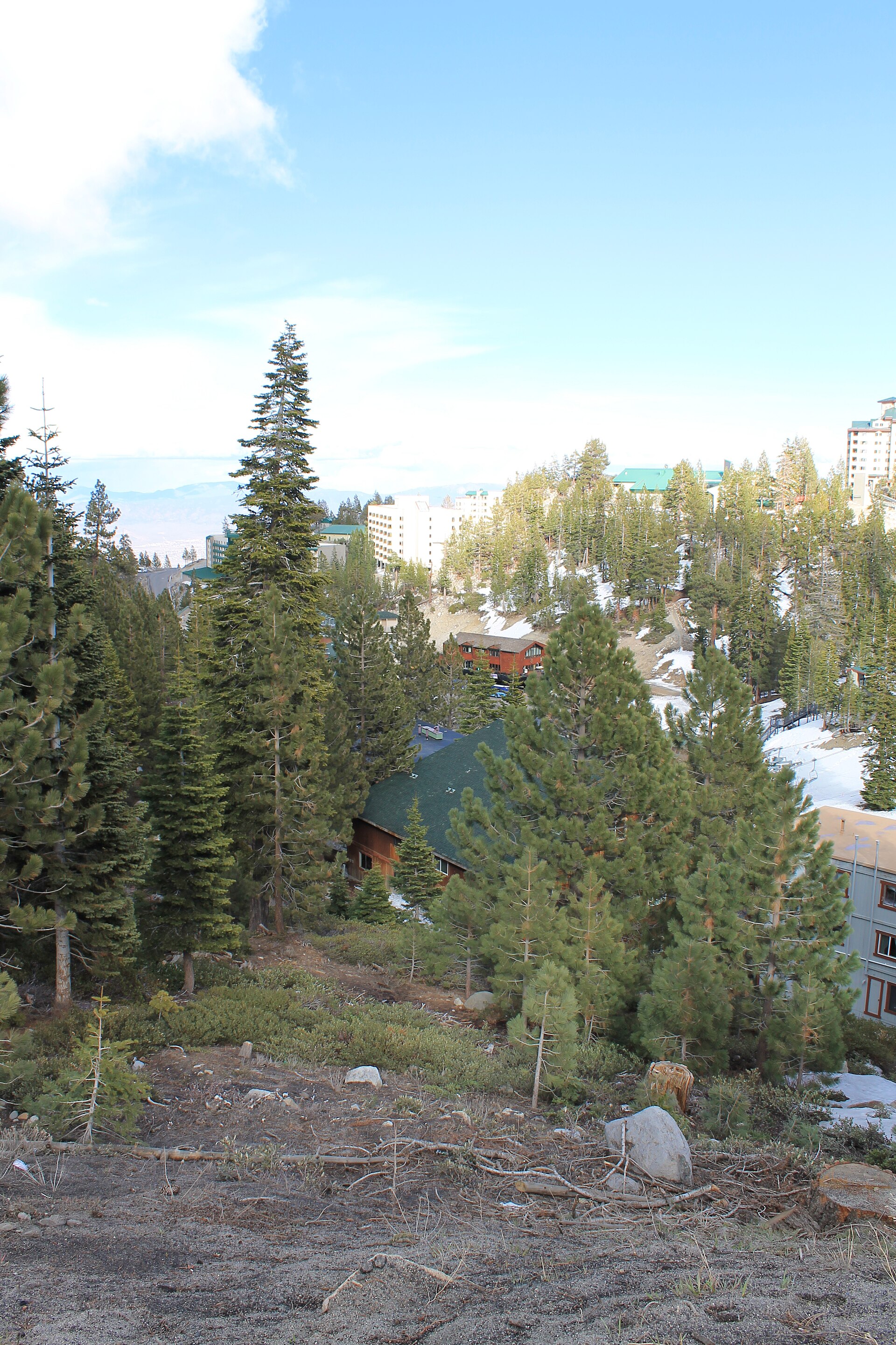 A cluster of mountain lodges and condos nestled in tall pines with snowy slopes nearby.