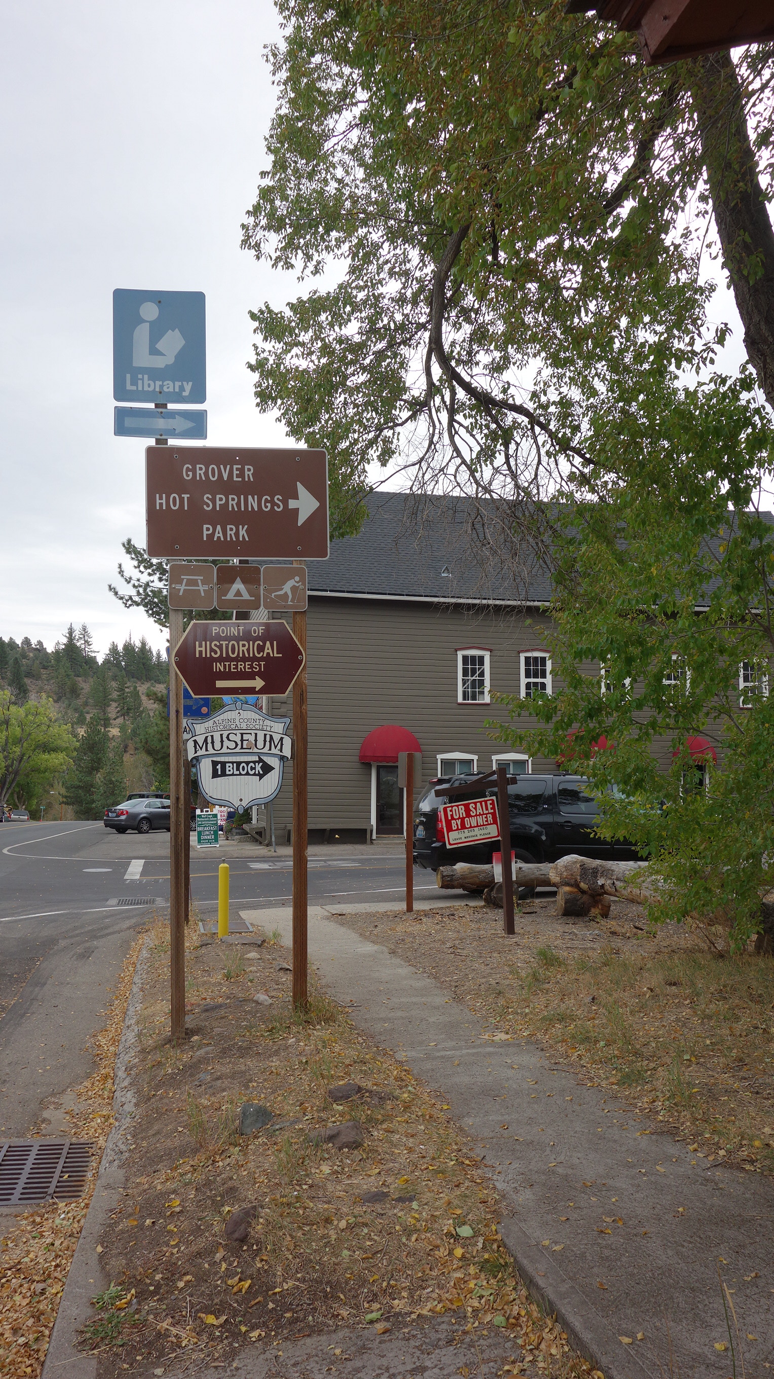 Green highway signs for Markleeville, California, at a rural road junction.