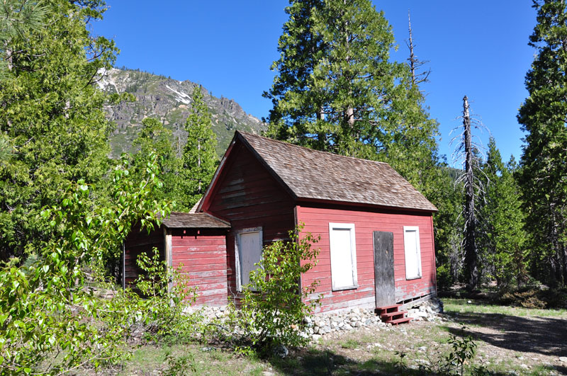 A weathered red wooden mining shack among pine trees in Plumas-Eureka State Park.