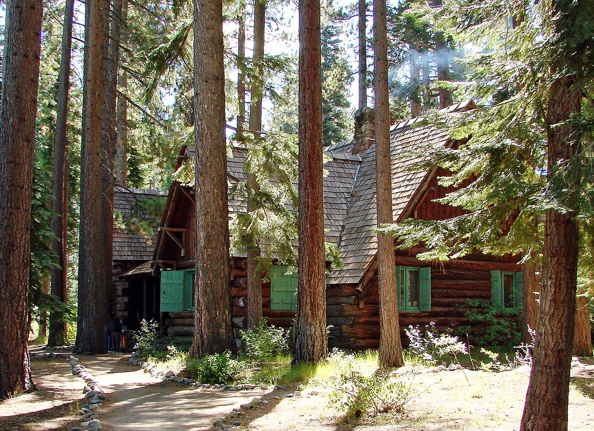 A rustic log cabin with green shutters set among towering pine trunks.
