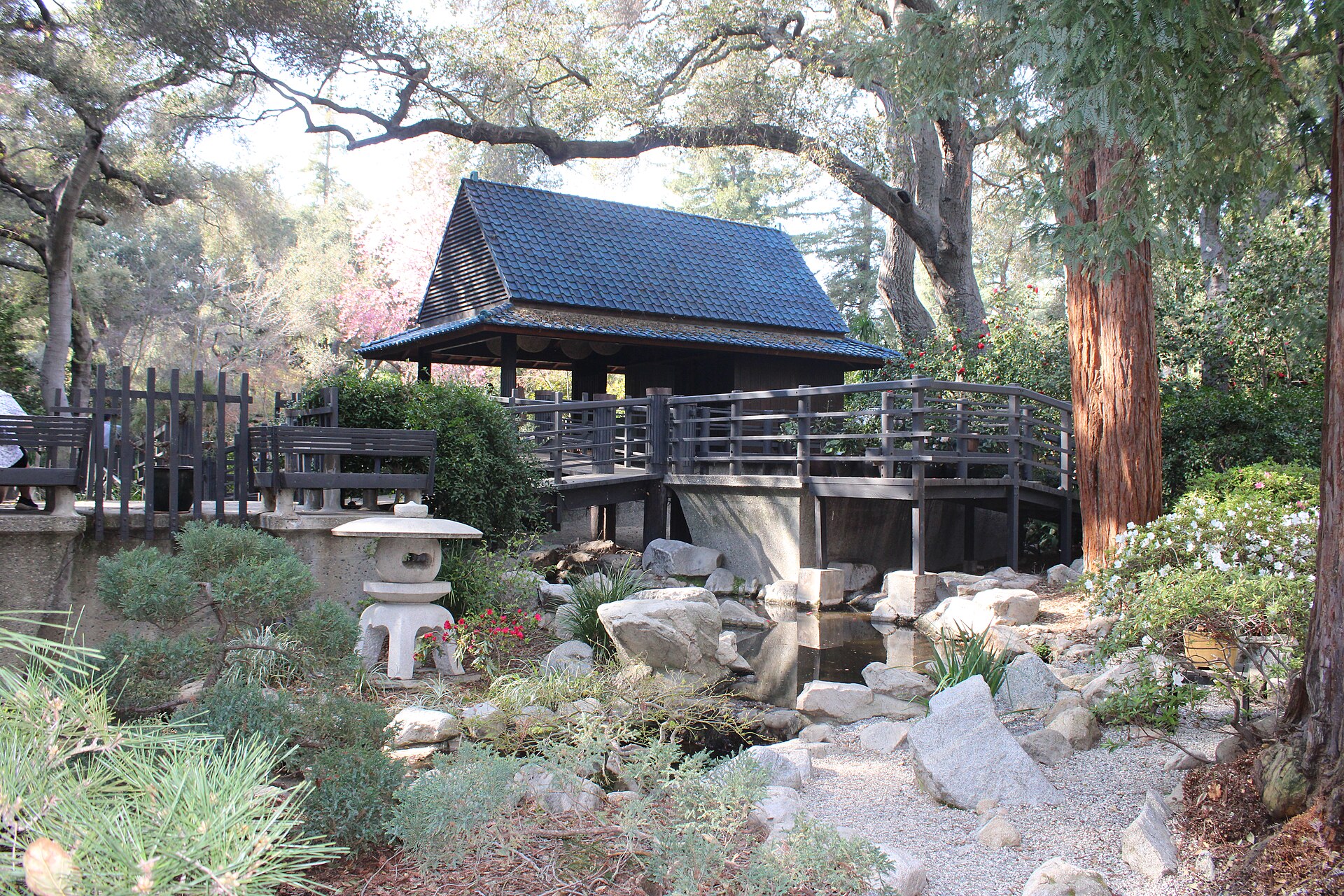 A wooden teahouse on a bridge over a koi pond with stone lanterns, rocks, and tall trees.