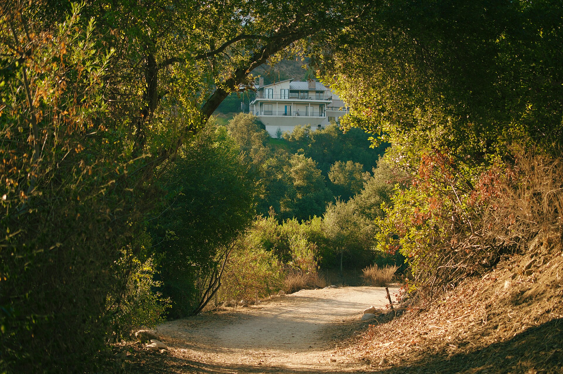A dirt trail winding through dense green trees with a white house visible on the hillside.
