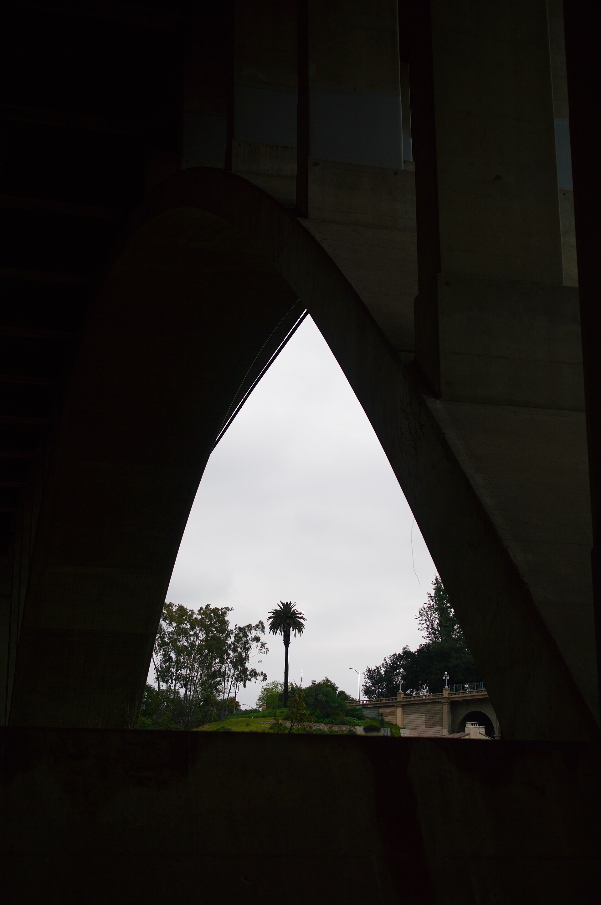The dark concrete arch of a bridge framing a palm tree and hillside beyond.